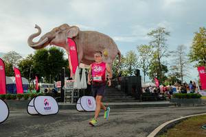 BIB: 
                            <button type="button" onclick="openModal(26529214)" class="btn btn-primary btn-sm float-right btn-popup" data-toggle="modal" data-target=".modal-high-quality">
                        <i class="fas fa-shopping-cart"></i> Add to Cart
                    </button>
                                            <button type="button" onclick="isThisMe(26529214, true)" class="btn btn-success btn-sm float-right btn-popup btn-isme hidden" data-toggle="tooltip" data-placement="bottom" title="นี่คือรูปของคุณใช่ไหม คลิกที่นี่เพื่อเอาเข้าอัลบั้ม">
                        <i class="fas fa-plus"></i> Add to album
                    </button>
                    <button type="button" onclick="isThisMe(26529214, false)" class="btn btn-warning btn-sm float-right btn-popup btn-isnotme hidden">
                        <i class="fas fa-ban"></i> Remove from album
                    </button>